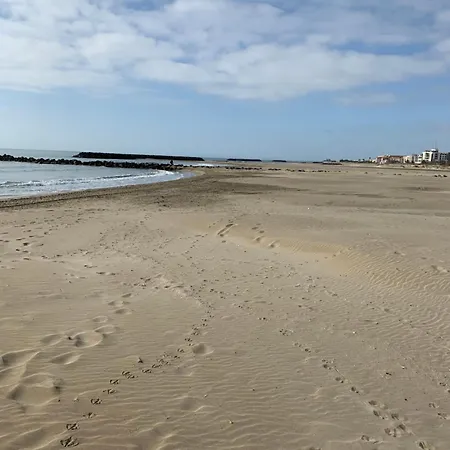 Petit Nid Douillet * Agde